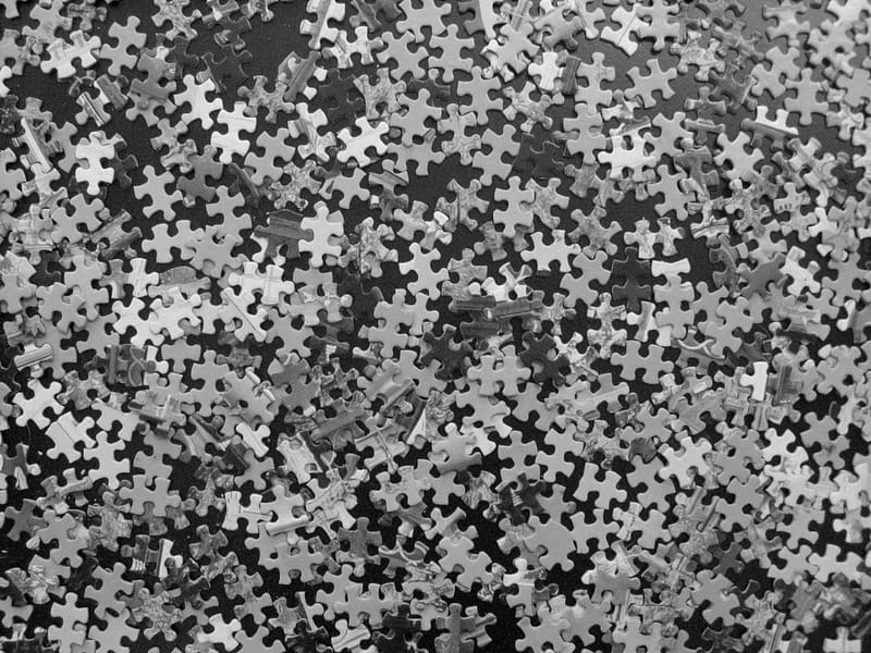 puzzle pieces: eworm